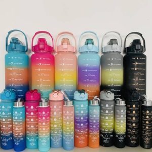 3in1  motivational water  bottle