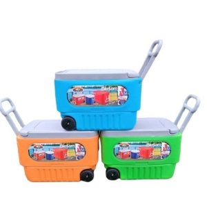Blossom 36liters cooler